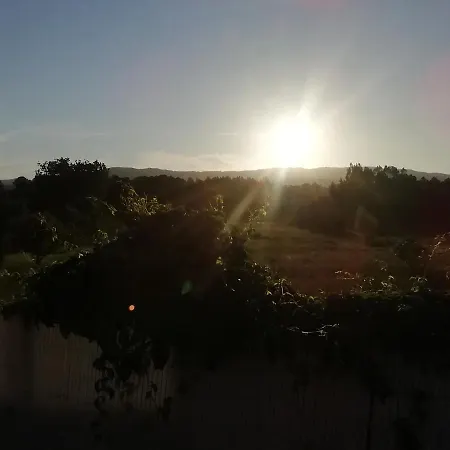 Camino Da Vieira *